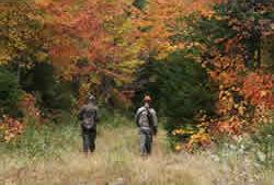 Moose Hunters Searching